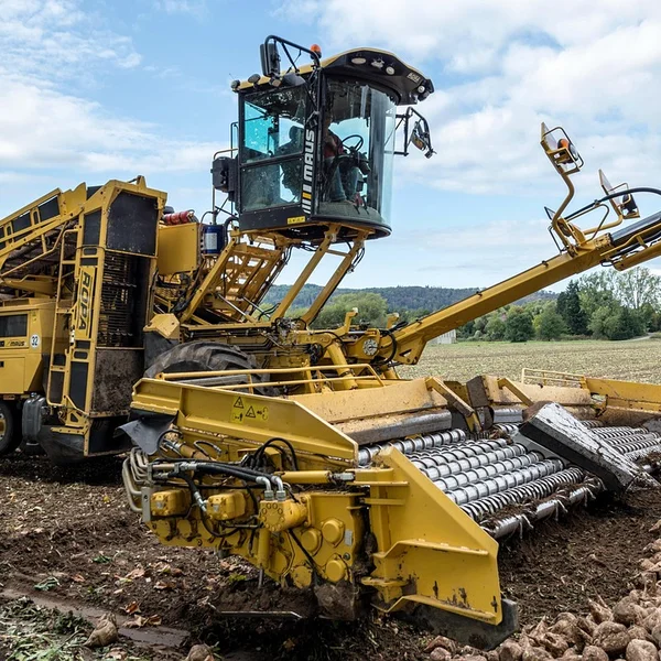 台球下注老虎机